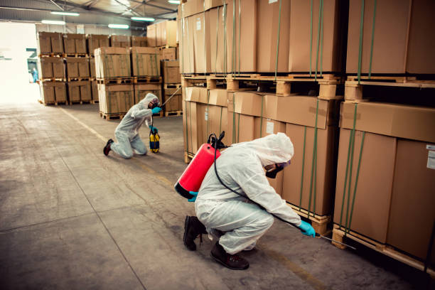 Best Bed Bug Extermination  in Willacoochee, GA