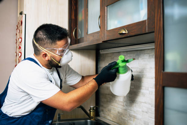 Best Pest Inspection Near Me  in Willacoochee, GA