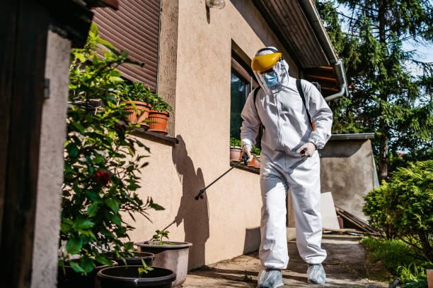 Best Insect Control  in Willacoochee, GA