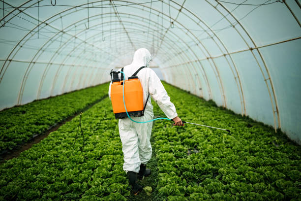 Best Affordable Pest Control Services  in Willacoochee, GA