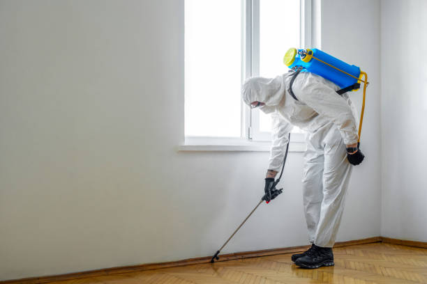 Best Best Pest Control Companies  in Willacoochee, GA