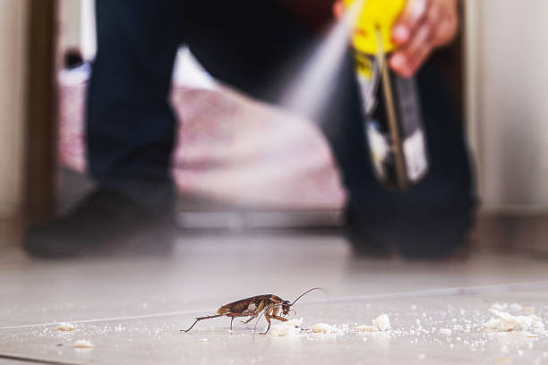 Best Commercial Pest Control Services  in Willacoochee, GA