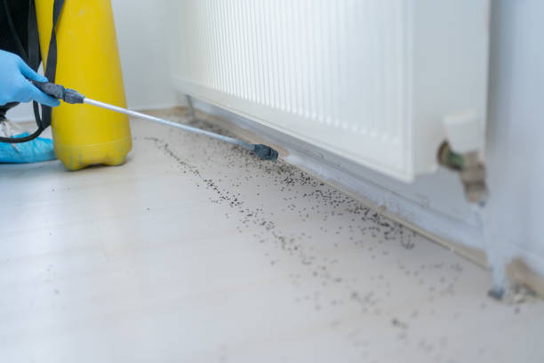 Best Exterminator Services  in Willacoochee, GA