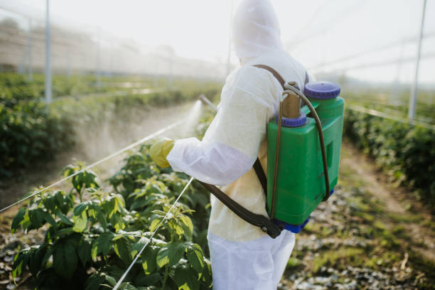 Reliable Willacoochee, GA Pest Control Solutions